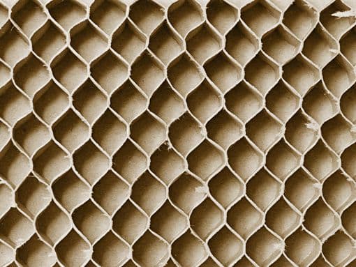 honeycombs